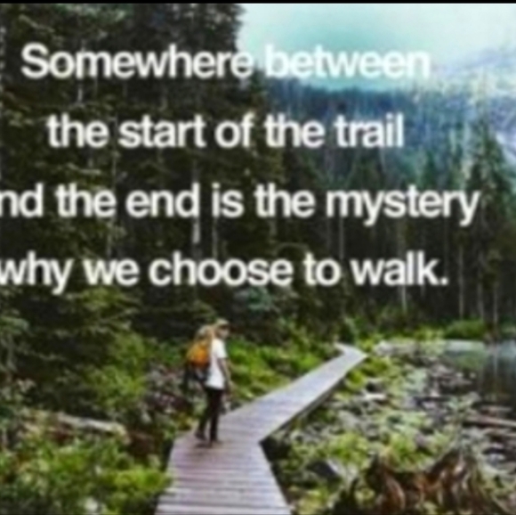 BLACK LEATHER  JACKET CHIC COBALT LINING Sz XL WILSONS EPLC - Picture 13 of 16